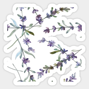 Lavender Flower Watercolor Design Sticker